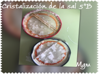 Cristalización de la sal 5ºB